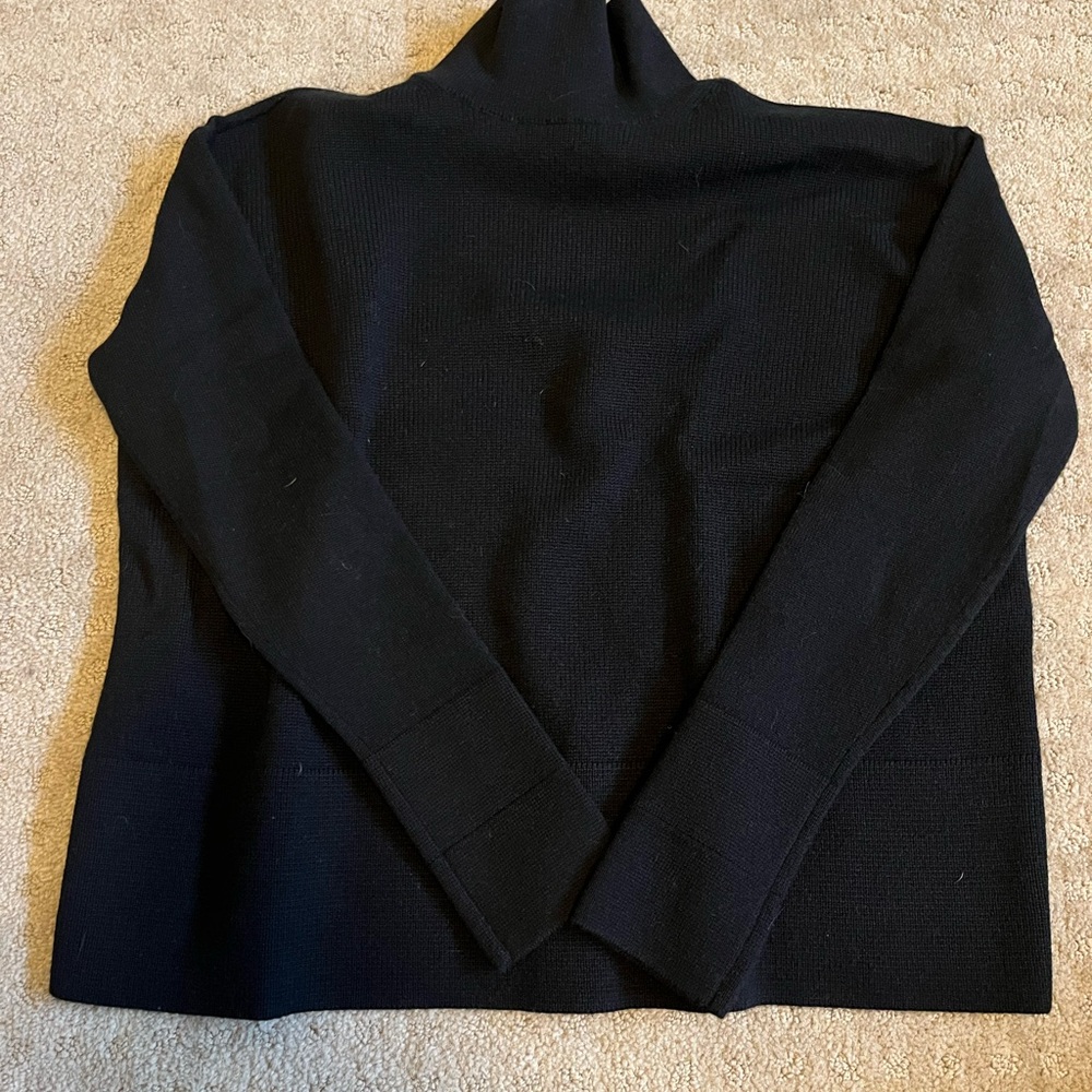 Everlane 100% Cashmere Turtleneck Sweater